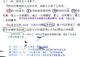 抖音超火语文课堂笔记PDF格式